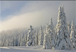 Kopaonik